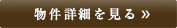 詳細を見る